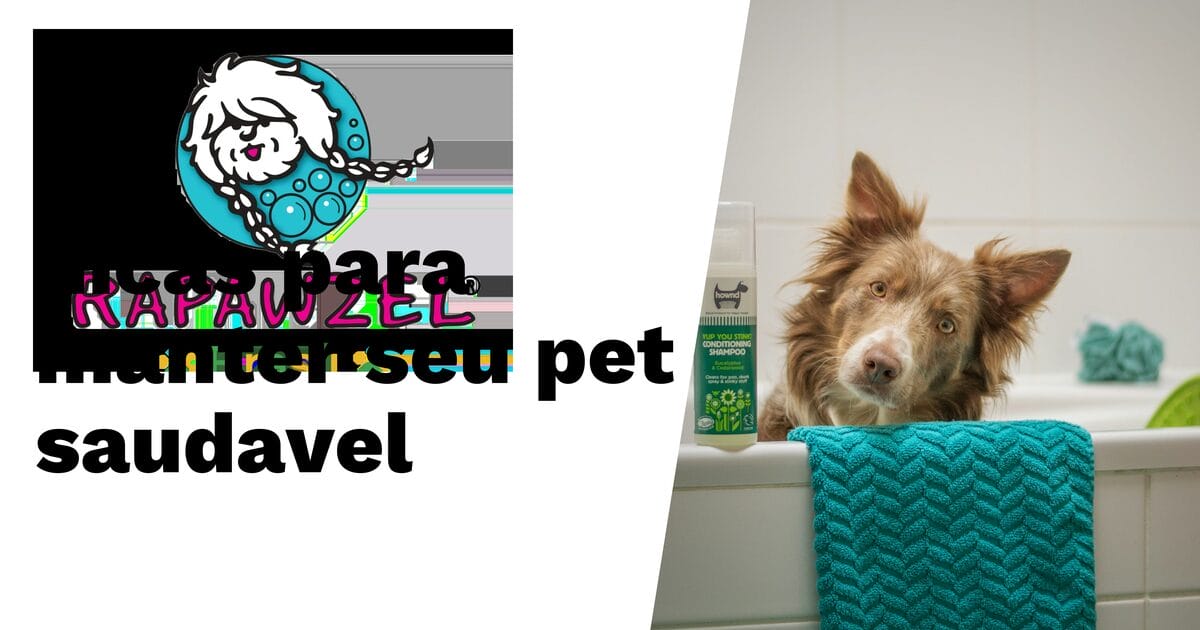 Um cachorro está em uma banheira ao lado de um frasco de xampu, com uma toalha azul-petróleo enrolada na borda da banheira. O texto em português aparece no lado esquerdo da imagem.
